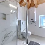 Rinata By Interhome Vikendica Novigrad (Istria)