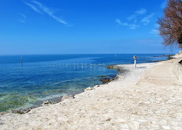 Rinata By Interhome * Novigrad (Istria)